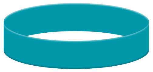 Wristband Color Example - Teal
